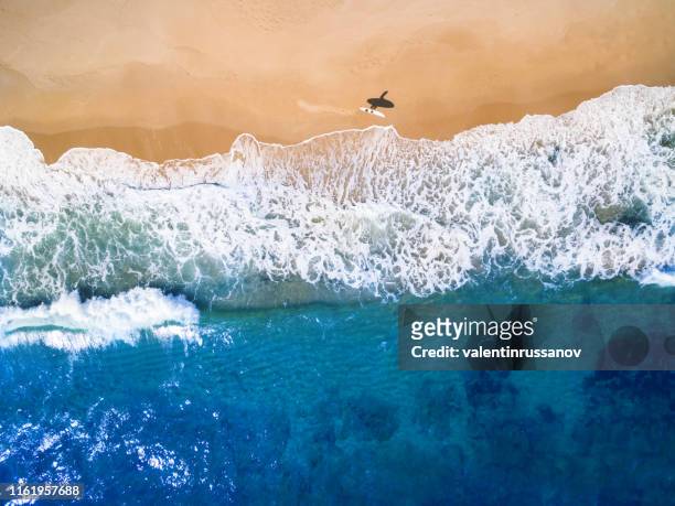 aerial view of surfer going into the sea - bulgaria stock pictures, royalty-free photos & images
