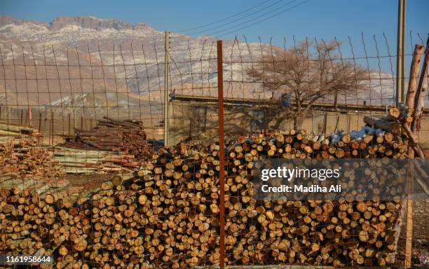 a storage place for timber wood logs for burning, heating or cooking purpose - crime board stock pictures, royalty-free photos & images