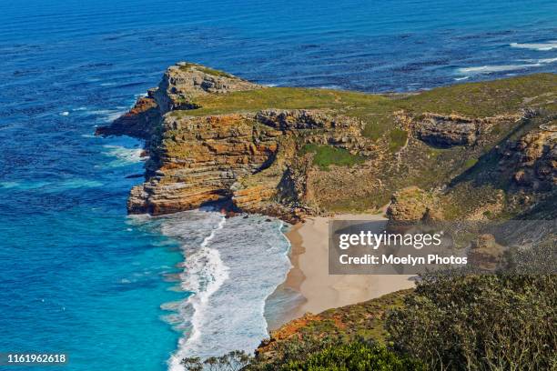 beach at cape point nature reserve - cape point stock pictures, royalty-free photos & images