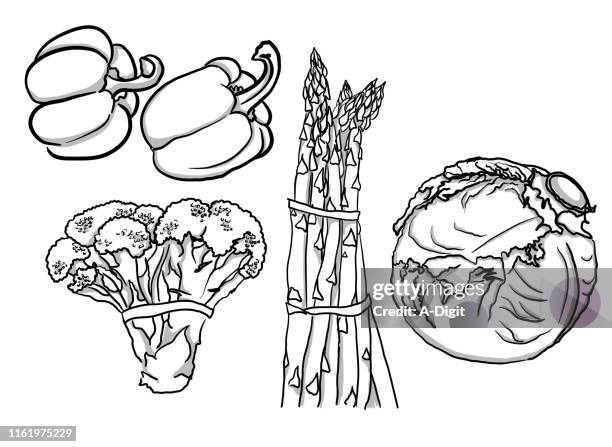 veggie collection a greyscale - red bell pepper white background stock illustrations