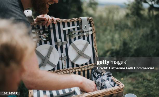 picnic - hamper stockfoto's en -beelden