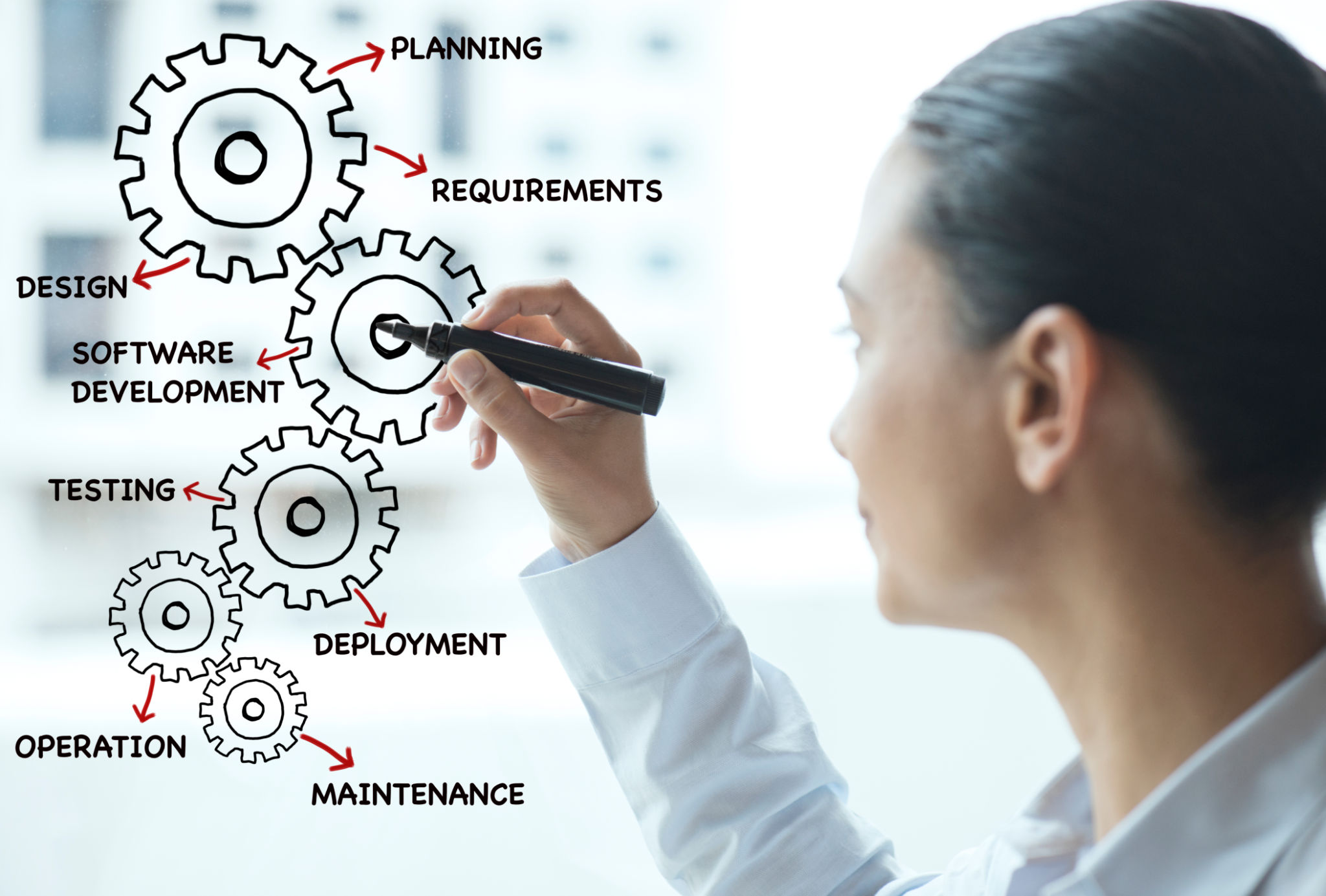 Software Development Lifecyle Software Development Lifecyle