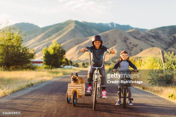 boys riding bicycles with dog in side car - moto humour stock pictures, royalty-free photos & images