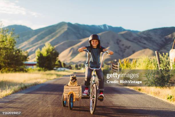 boy riding bicycle with dog in side car - motorcycle side car stock pictures, royalty-free photos & images