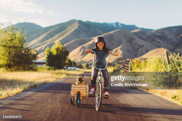 vélo d'équitation de garçon avec le crabot dans la voiture latérale - moto humour photos et images de collection