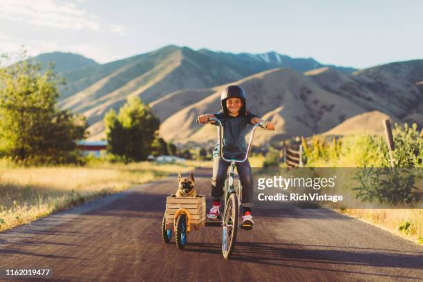 boy riding bicycle with dog in side car - motorcycle side car stock pictures, royalty-free photos & images
