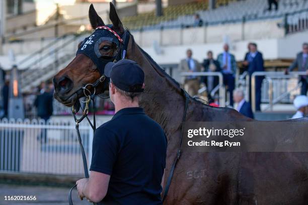 Benitoite after winning the Black Caviar Tribute Handicap, at Caulfield Racecourse on August 17, 2019 in Caulfield, Australia.