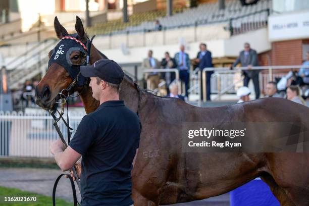 Benitoite after winning the Black Caviar Tribute Handicap, at Caulfield Racecourse on August 17, 2019 in Caulfield, Australia.