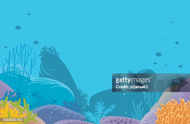 corals background - sea creatures stock illustrations
