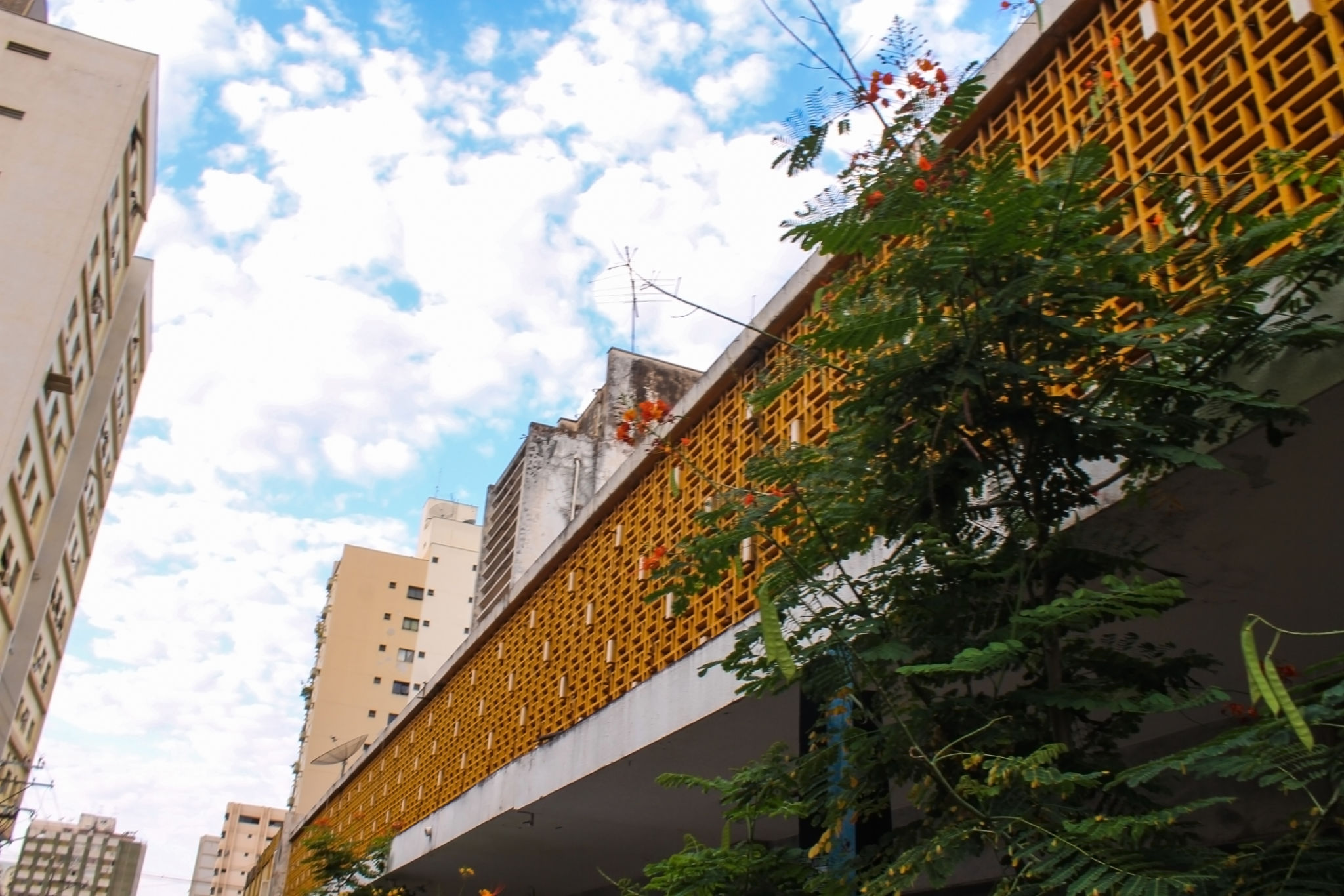 arquitetura sustentável