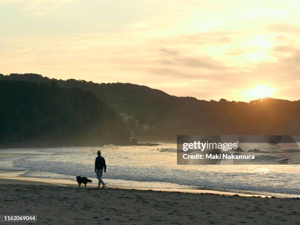 a man taking a walk with a dog on the beach in the time when the sun rose and the sky started to turn red - hunds rose stock-fotos und bilder