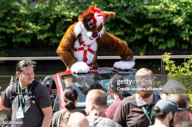 August 2019, Berlin: A participant of the "Eurofurence" stands in front of the Hotel Estrel in a car. The annual convention brings together people...