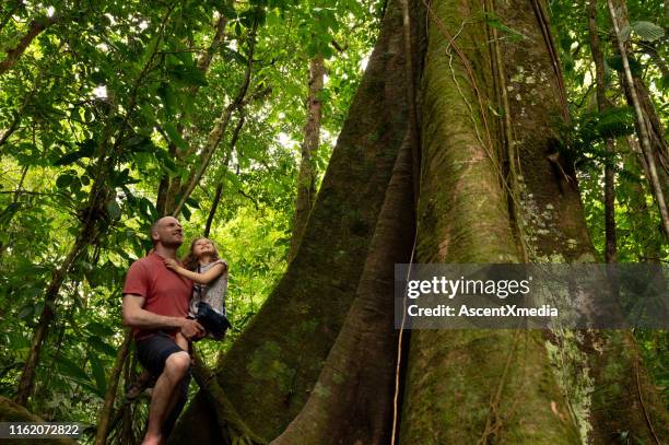 father and daughter looking up at large tree - costa rica forest stock pictures, royalty-free photos & images