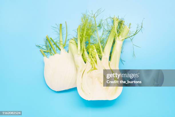 high angle view of sliced fennel on blue background - fennel stock pictures, royalty-free photos & images