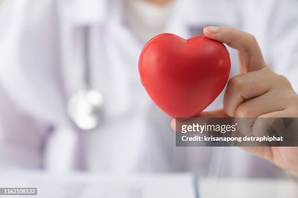women doctor holding heart,heart disease,heart disease,heart disease center - herz ekg hand stock-fotos und bilder