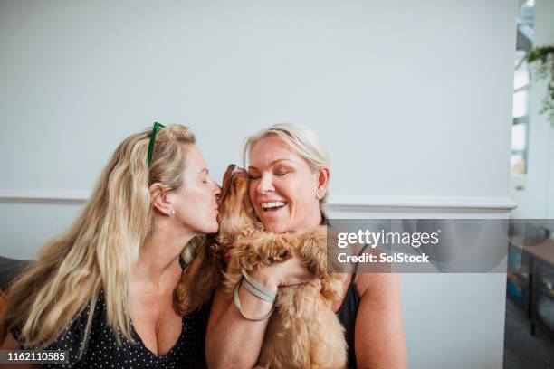 picture of happiness - dog kiss stock pictures, royalty-free photos & images