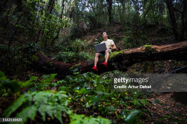 guy working with laptop in remote place with nature and fallen tree. - remote location stock-fotos und bilder