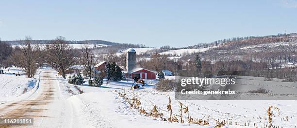 framstead em uma manhã de inverno - cow winter imagens e fotografias de stock