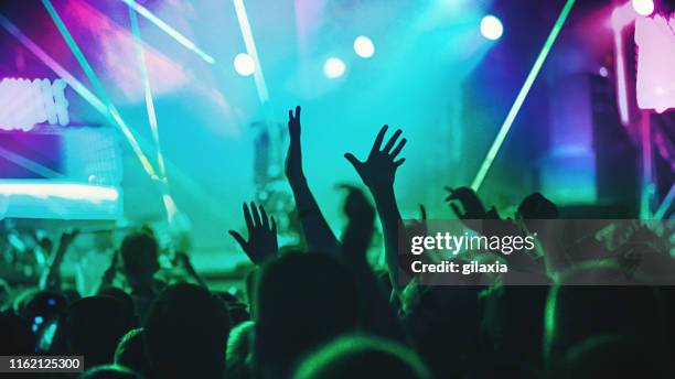 jubelnde menge bei einem konzert. - clubs besuchen stock-fotos und bilder