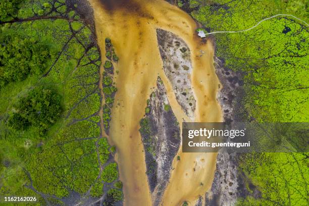 aerial view of a bai (saline, mineral clearing) in the rainforest, congo - democratic republic of the congo stock pictures, royalty-free photos & images