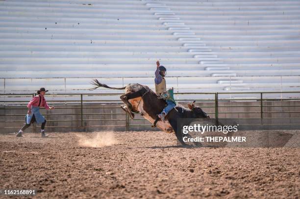 cowboy bull riding in rodeo arena - bull riding stockfoto's en -beelden