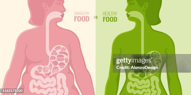 ilustraciones, imágenes clip art, dibujos animados e iconos de stock de alimentos saludables y poco saludables - unhealthy eating