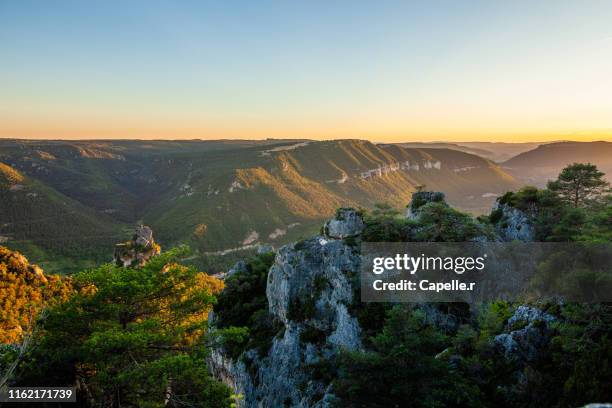 nature - gorges de la jonte - lozère - cevennes stock pictures, royalty-free photos & images