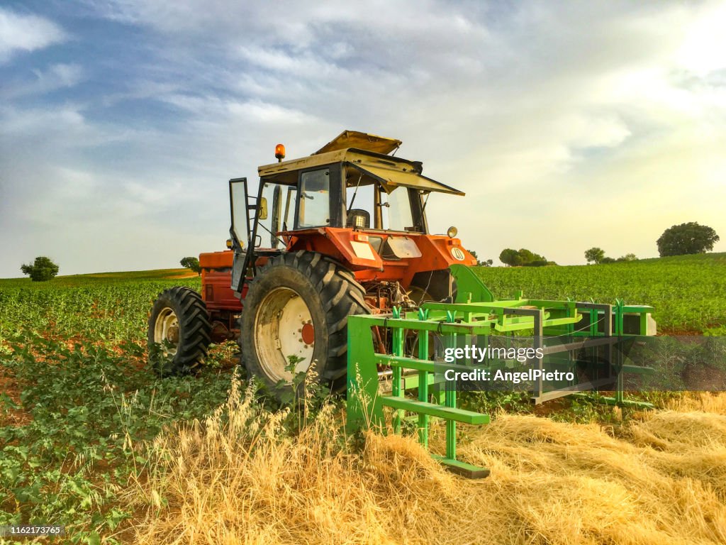 A red tractor in the country at sunset