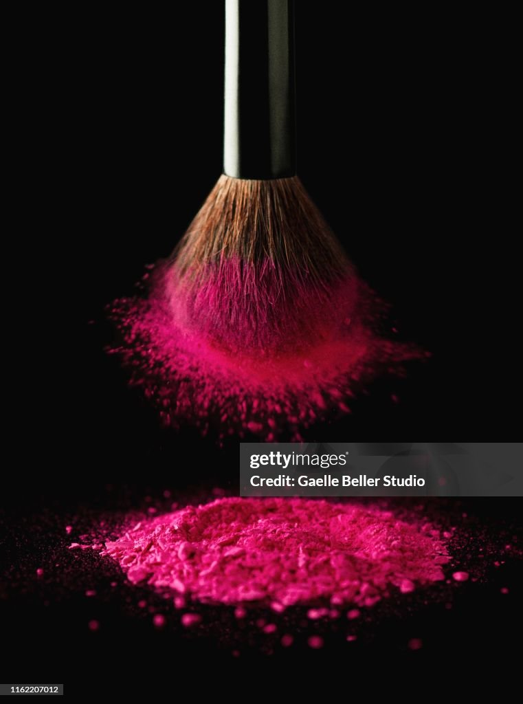 Make-Up Brush Dipped in Hot Pink Blush