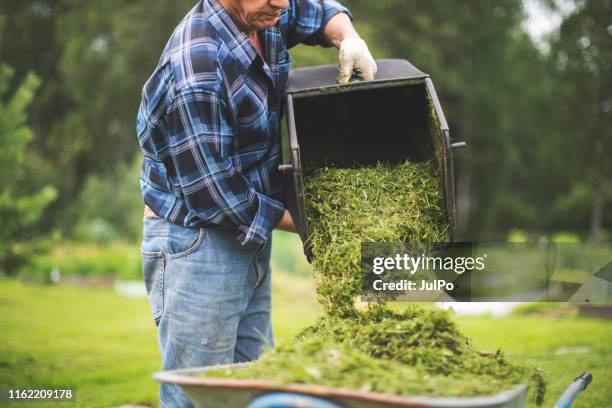man som arbetar i trädgården - gräsklippare bildbanksfoton och bilder