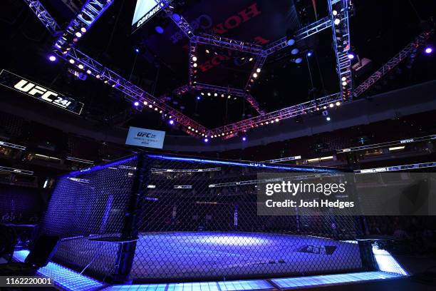 General view of the Octagon prior to the UFC 241 event at the Honda Center on August 17, 2019 in Anaheim, California.