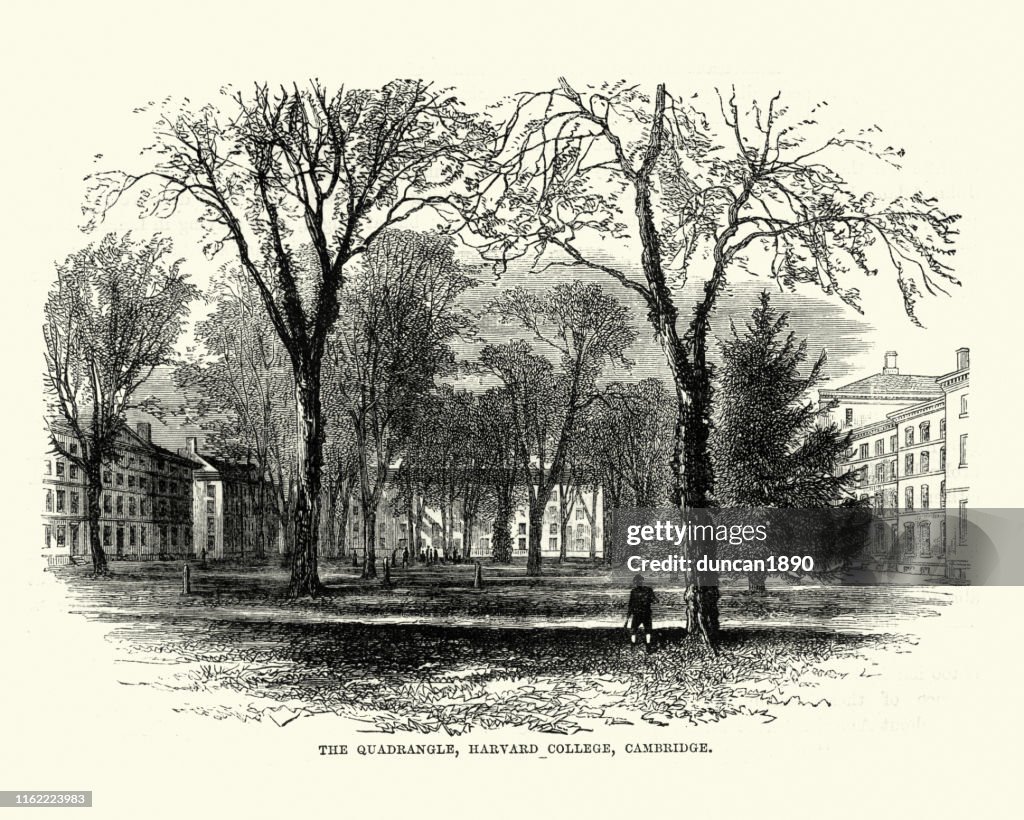 Quadrangle, Harvard College, Cambridge, 19. Jahrhundert