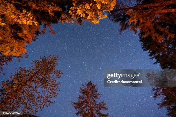 camping under the stars - campfire background stock pictures, royalty-free photos & images