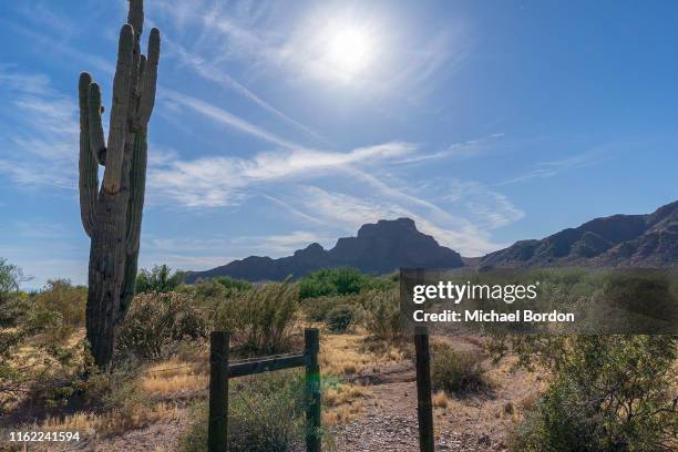 Michael Ridge Arizona 45,519 Michael Phoenix Stock Photos, High-Res Pictures, and Images ...