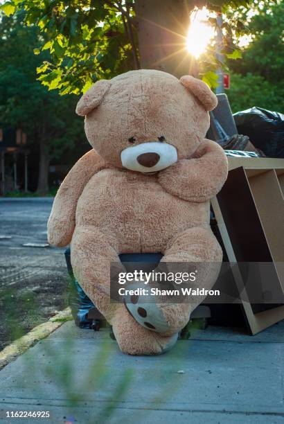forgotten teddy bear - osito de peluche fotografías e imágenes de stock