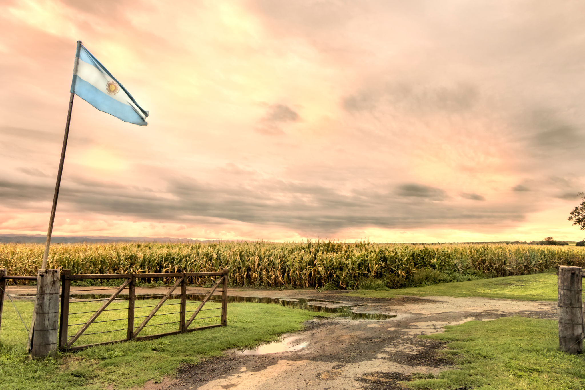 argentina agriculture innovation