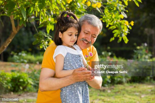 gardening in public park - stock photo - granddaughter stock pictures, royalty-free photos & images