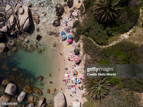 aerial shot of a beautiful beach cove with people on the beach - birdseye view of the queens garden party from the roof of buckingham palace stockfoto's en -beelden