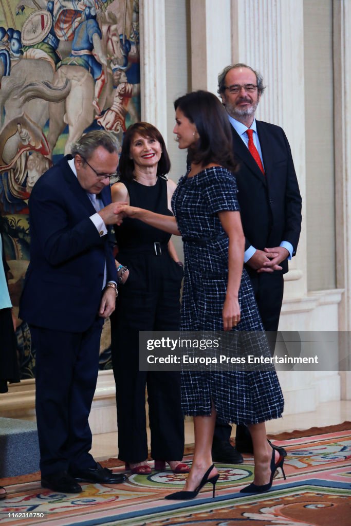 Queen Letizia Of Spain Attends Audiences At Zarzuela Palace