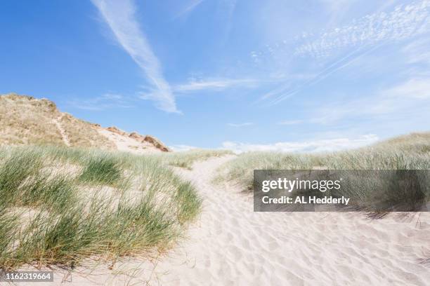 sand dunes at holywell beach - 砂地 ストックフォトと画像