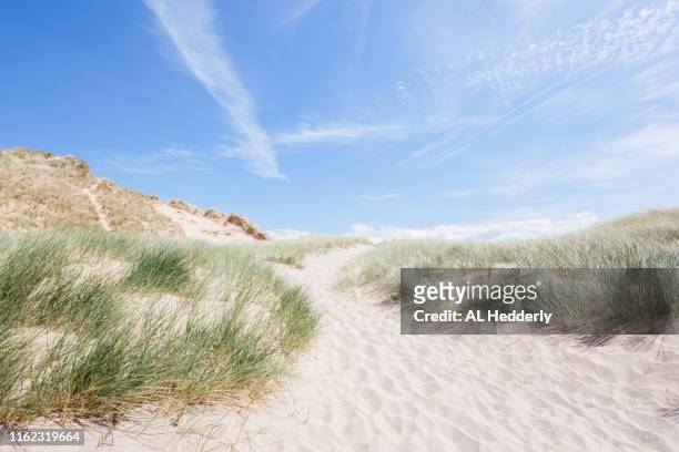 sand dunes at holywell beach - sand dune stock pictures, royalty-free photos & images