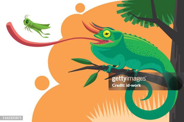 stockillustraties, clipart, cartoons en iconen met chameleon vangen sprinkhaan - tongue