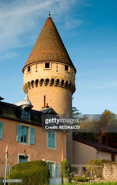 Tour Fabry. Cluny. Bourgogne. Burgundy. France. Europe.