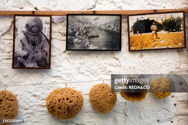 Sponge. Symi. Dodecanese. Greek Islands. Greece. Europe.