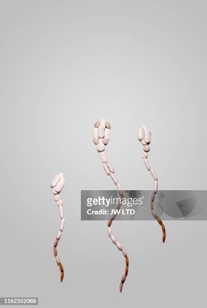 model of human sperm made from pills - sperm stock pictures, royalty-free photos & images