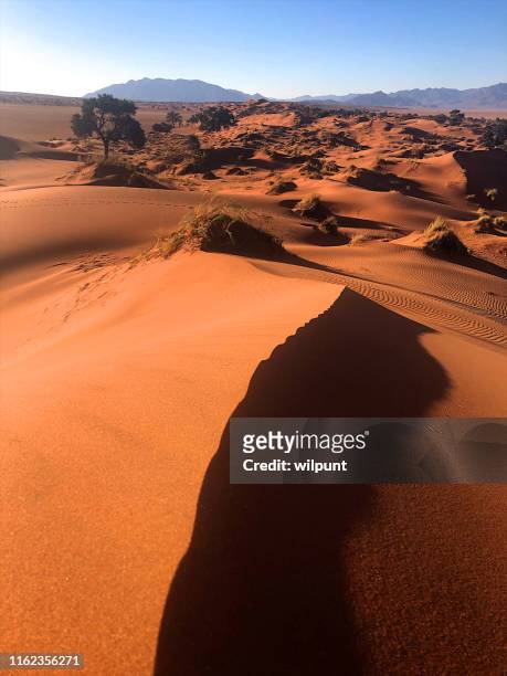 rote sanddünenlandschaft - namib stock-fotos und bilder