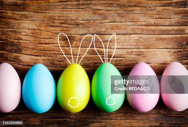 Easter eggs cute bunny. Easter eggs decoration on wooden background. Easter background with copy space.