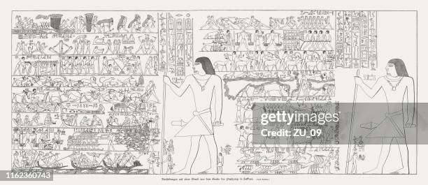 stockillustraties, clipart, cartoons en iconen met mastaba van ptahhotep in saqqara, egypte, houtgravure, gepubliceerd 1879 - papyrusriet