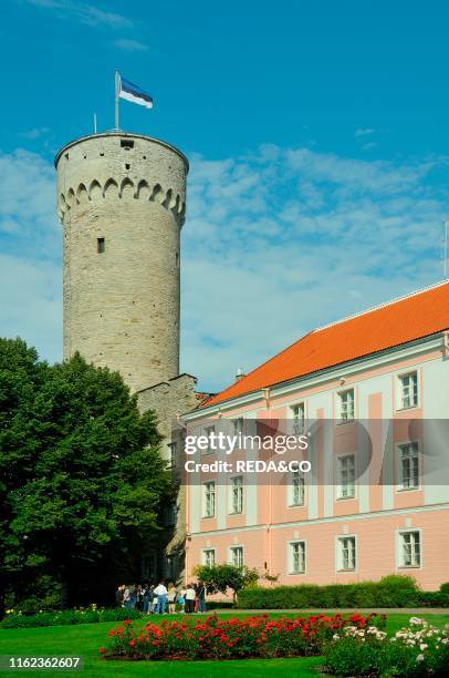 Estonia - Tallinn - Citta Vecchia - Castello di Toompea - Palazzo del Parlamento e la Torre Pikk Hermann.