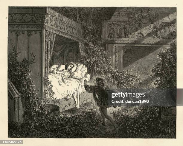 illustrations, cliparts, dessins animés et icônes de le prince découvrant la belle au bois dormant, les contes de perrault - gustave-dore-caricatures-gustave-dore